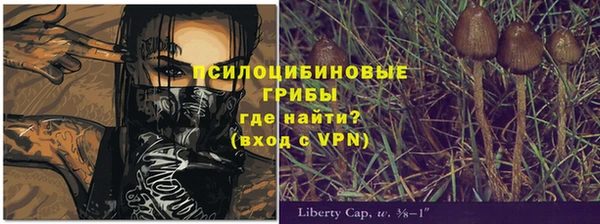 ECSTASY Абдулино