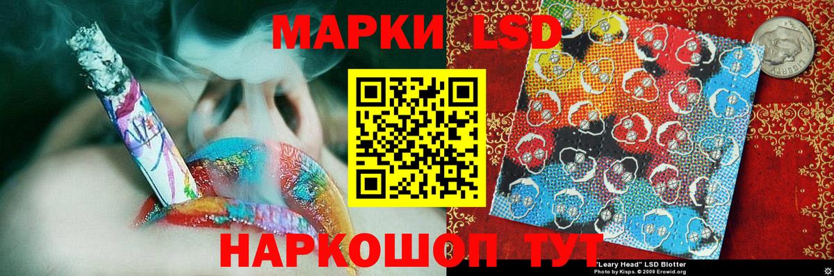 Псилоцибиновые грибы Новотроицк