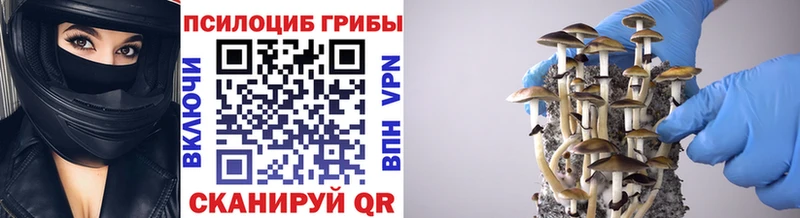 Псилоцибиновые грибы ЛСД  ссылка на мегу ТОР  Новотроицк 