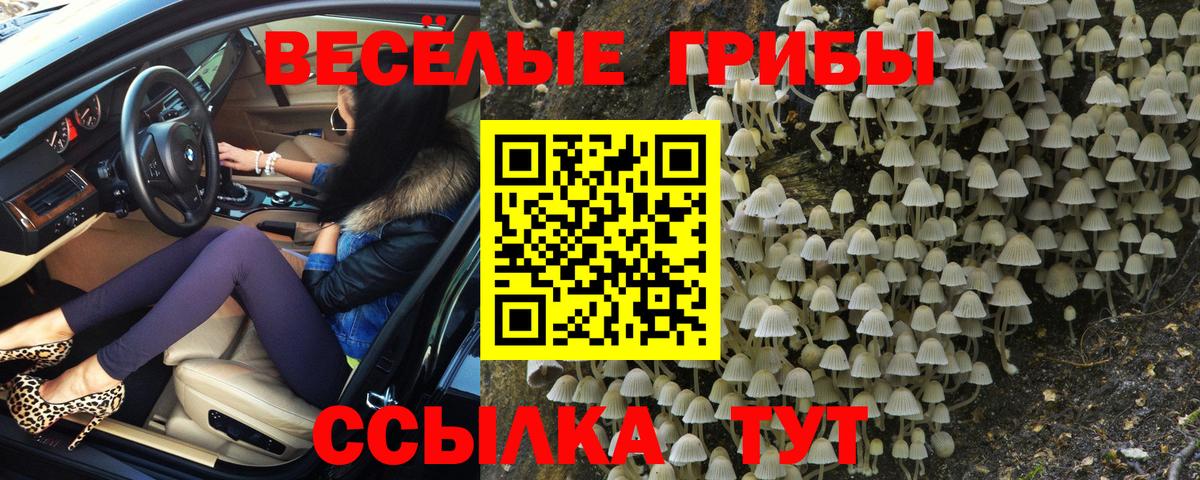 Псилоцибиновые грибы мухоморы  купить наркотики сайты  Новотроицк  Вход с VPN 