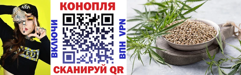 Каннабис OG Kush  где купить наркоту  Новотроицк 