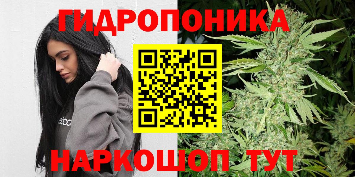 Марихуана Amnesia  Марихуана Bruce Banner  Новотроицк  Вход с VPN  Бошки Шишки сатива 